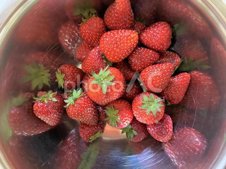 食材として使った苺・イチゴ いちご,ベリー,果物の写真素材