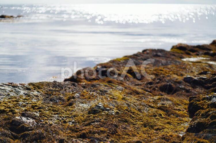磯の景色　男鹿半島　冬　鵜ノ崎海岸　３ 磯,風景,冬の写真素材