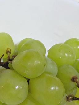 シャインマスカット（縦画像） シャインマスカット,ぶどう,マスカットの写真素材