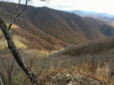 晩秋の山肌を覆う深い茶色の紅葉 晩秋の山肌を覆う深い茶色の紅葉 秋,晩秋,冬の写真素材