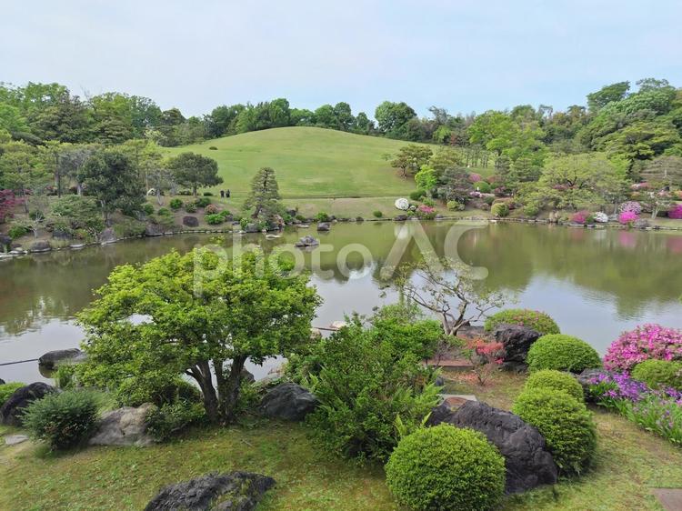 春の万博記念公園の日本庭園 公園,日本庭園,万博の写真素材