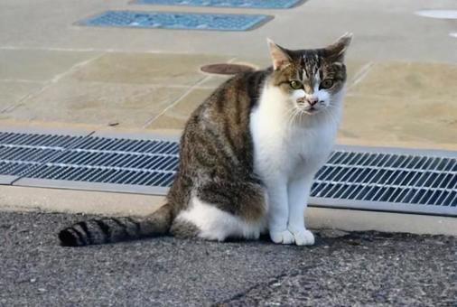 余裕の表情の写真