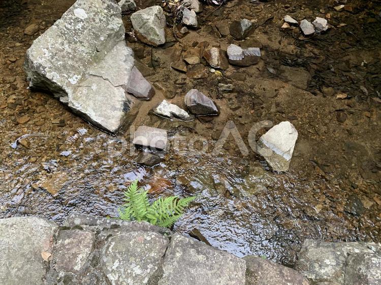 上流の浅瀬 川,水,涼しいの写真素材