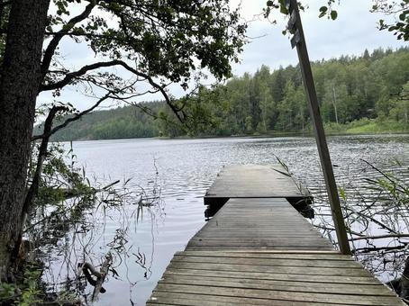 Nuuksio Park nuuksio,park,ヌークシオ国立公園の写真素材