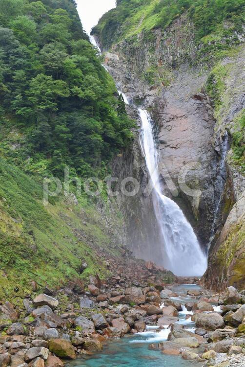 称名滝（富山県） 称名滝,日本の滝百選,天然記念物の写真素材