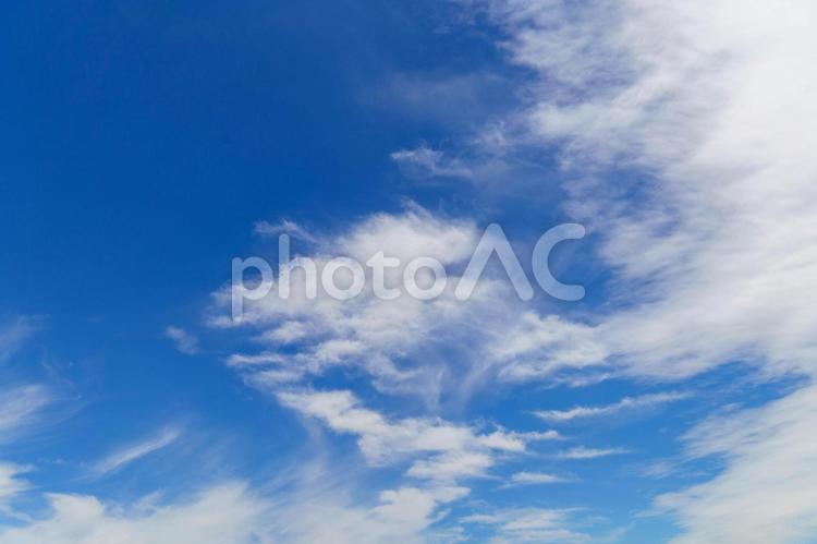 梅雨の合間の爽やかな空 空,テクスチャー,素材の写真素材