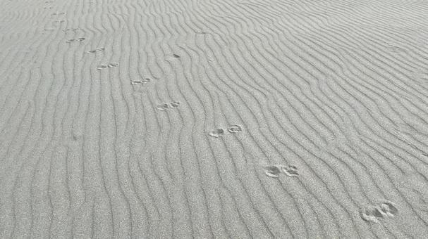 砂浜NM02 砂浜NM02の写真