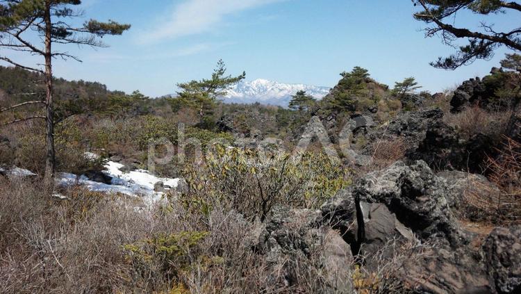 群馬県・鬼押出し 群馬県,鬼押出し,溶岩の写真素材