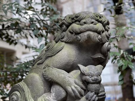 狛犬　稲荷鬼王神社 狛犬,参拝,お寺の写真素材