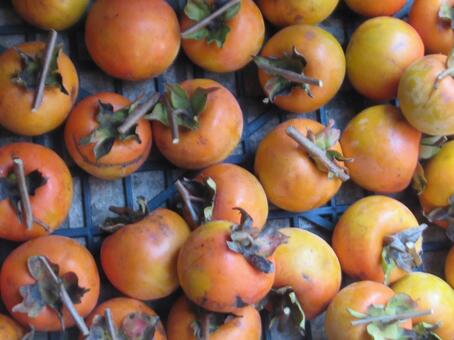 果物 果物,柿,オレンジ色の写真素材