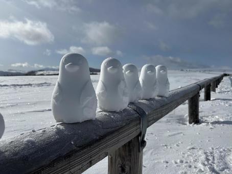 美ヶ原でアヒルの写真