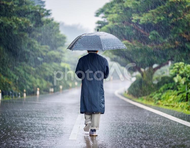 雨の日に傘をさして道路を歩く男性 雨,男性,傘の写真素材