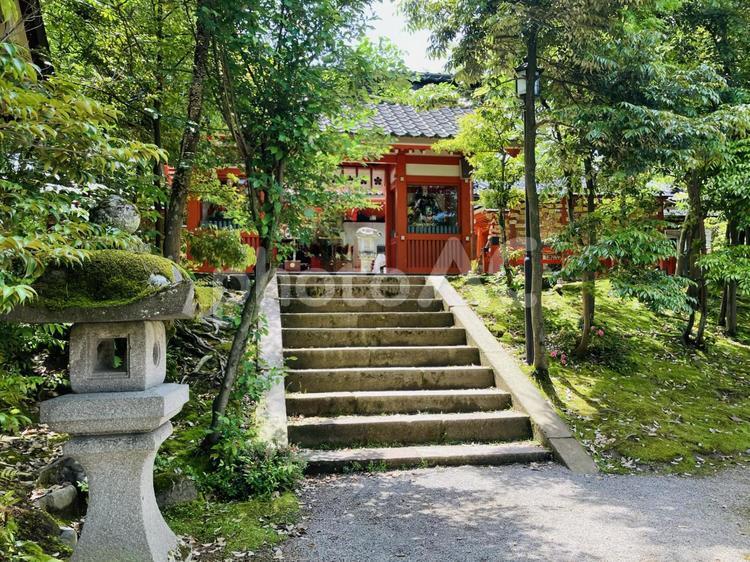 金澤神社　随神門　神門 金澤神社,石川県金沢市,神社の写真素材