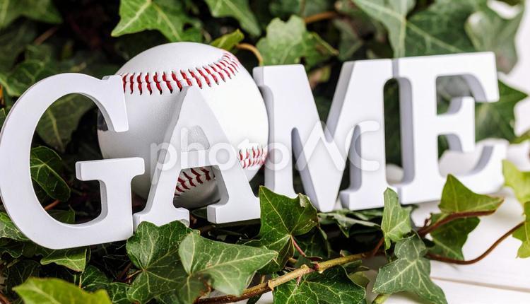 野球イメージ　机の上の野球ボール 野球ボール,アイビー,gameの写真素材