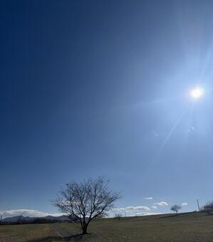 Photo, origin, field, landscape, 