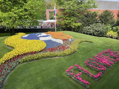 キューケンホフ公園 キューケンホフ,チューリップ,アムステルダムの写真素材