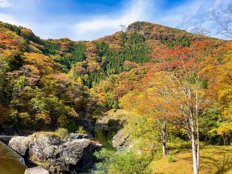 群馬県上野村の紅葉風景 紅葉,赤色,オレンジ色の写真素材