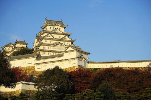 世界文化遺産　茜色の姫路城（白鷺城）１ 姫路城,白鷺城,城の写真素材
