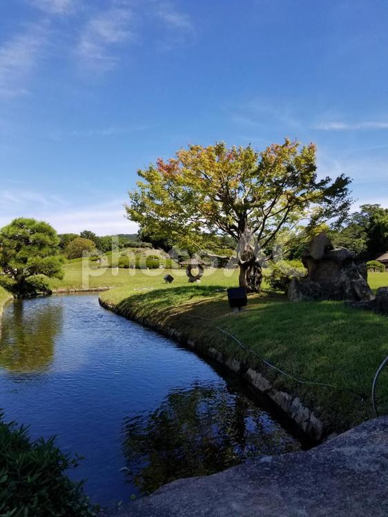 夏の後楽園（岡山市） 夏,風景,景色の写真素材