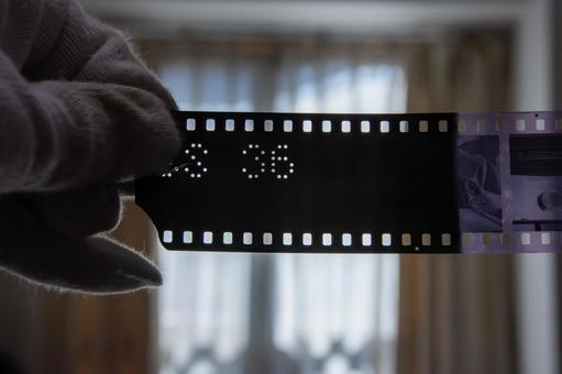 ネガフィルム ネガ,ネガフィルム,フィルムの写真素材