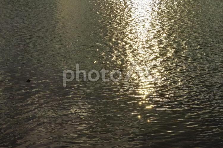 夕日が反射する水面の背景素材 夕日,水,背景の写真素材