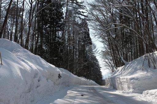 雪道 雪道,雪,森の写真素材