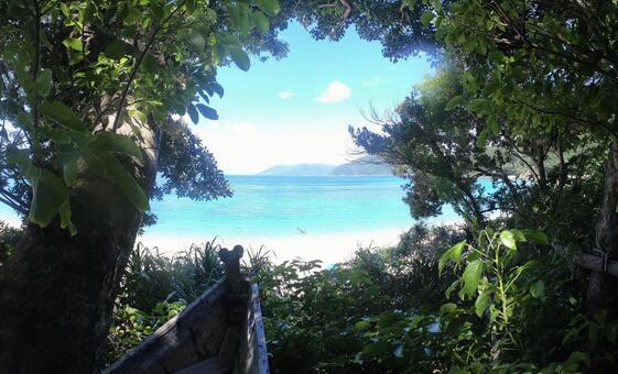 秘密基地からの景色 海,ツリーハウス,加計呂麻島の写真素材