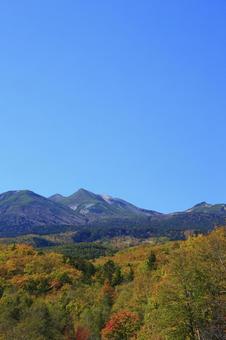 秋の乗鞍高原 秋の乗鞍高原 乗鞍高原,紅葉,秋の写真素材