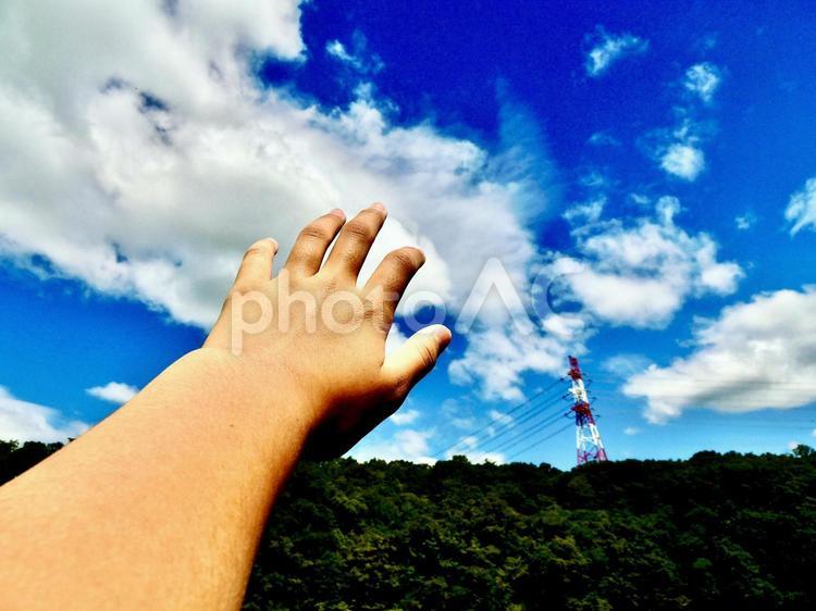 風景と手 手,自然,女性の写真素材