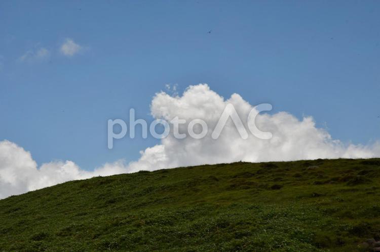 美ヶ原高原　青い空と白い雲 草,屋外で,晴れの写真素材