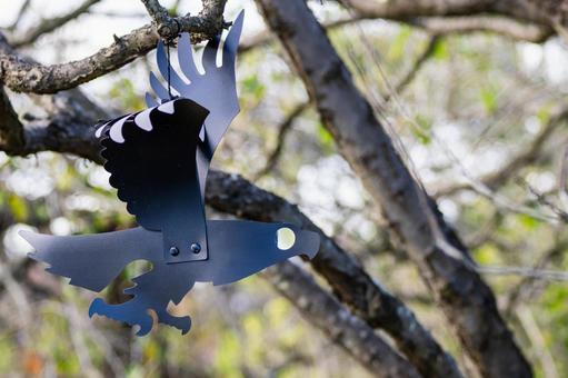 ハロウィンの飾り⒃ ハロウィン,飾り,カラスの写真素材