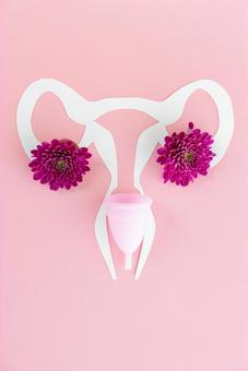 月経カップと紙でできた子宮（ピンク背景） 生理,月経,生理用品の写真素材
