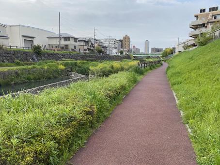 川沿いの散歩コース 川沿いの散歩コース 川沿い,川,散歩の写真素材