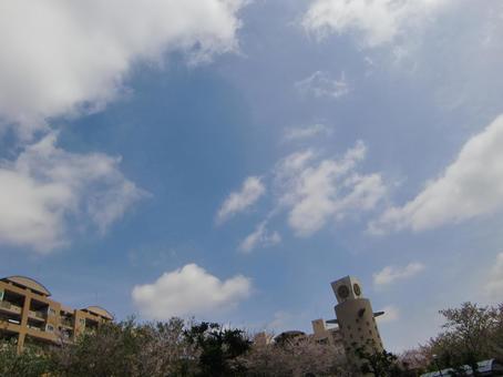 四月の雲-105 四月の雲-105 四月,青空,空の写真素材