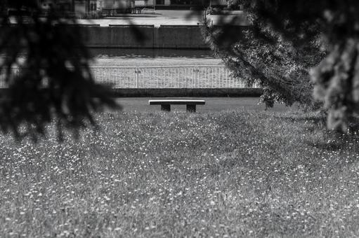 公園のモノクロスナップ 公園のモノクロスナップの写真