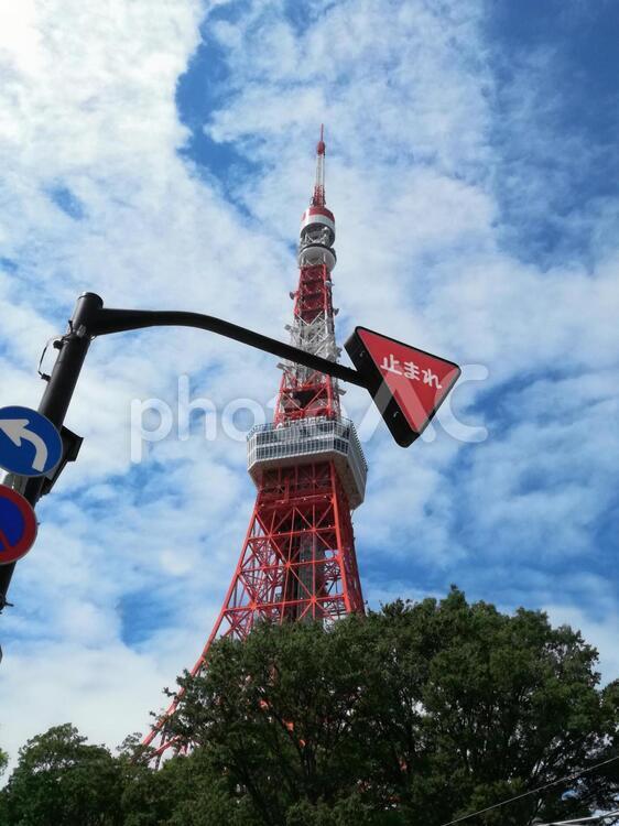 東京タワーと 止まれの標識 東京タワー,止まれ,標識の写真素材