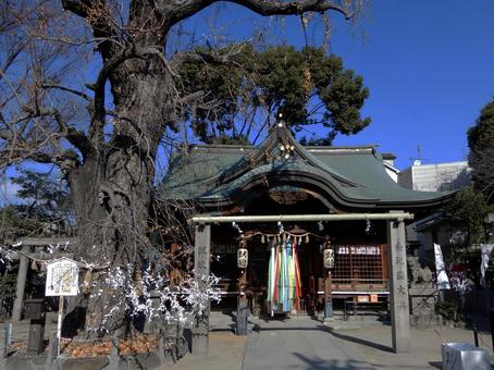 白山神社 大阪 白山神社 大阪 白山神社,大阪,お参りの写真素材