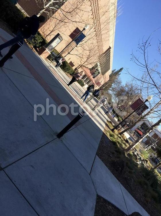 アメリカの大学の風景 アメリカ,カリフォルニア,大学の写真素材