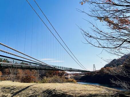 秋のもみじ谷大吊橋と渓谷 吊橋,橋,もみじ谷大吊橋の写真素材