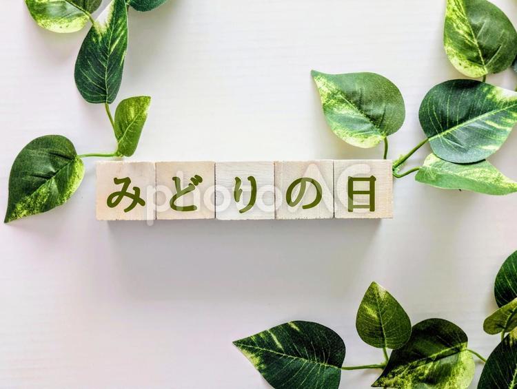 背景素材（みどりの日）7 みどりの日,5月,5月4日の写真素材