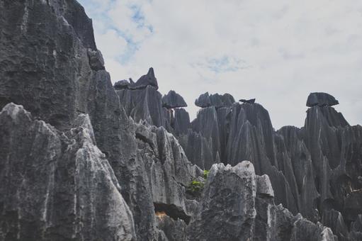 昆明市石林风景区 昆明市石林风景区 中国,雲南,石林の写真素材