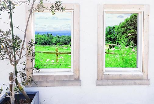 Scenery from the window Forest Scenery from the window Forest