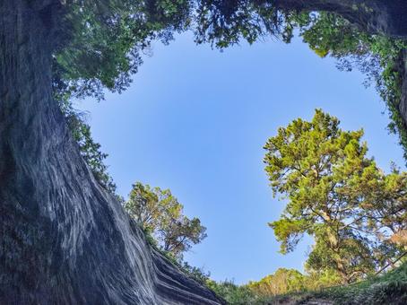 堂ヶ島マリン 遊覧船から天窓洞を見上げるの写真