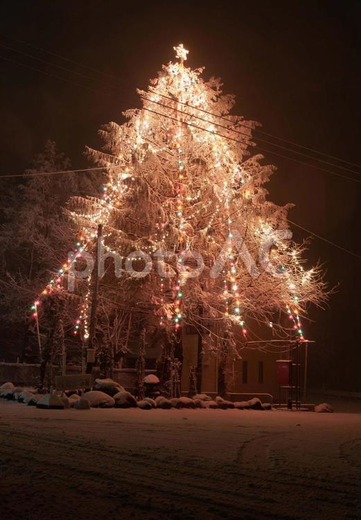 クリスマス　１　（ホワイト　クリスマス） クリスマス,クリスマスツリー,雪の写真素材