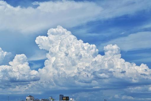 Poodle Cloud, JPG
