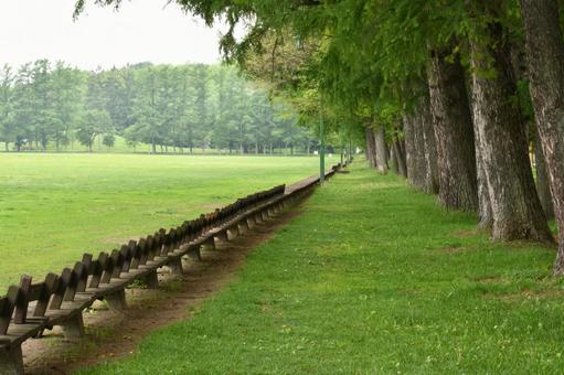 Photo, park, bench, lawn, 