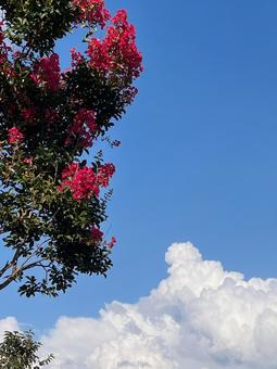 Photo, রেড হান্ড্রেড দিন, পুঁজমেঘ, মেঘ, 