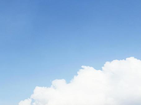 空背景の写真