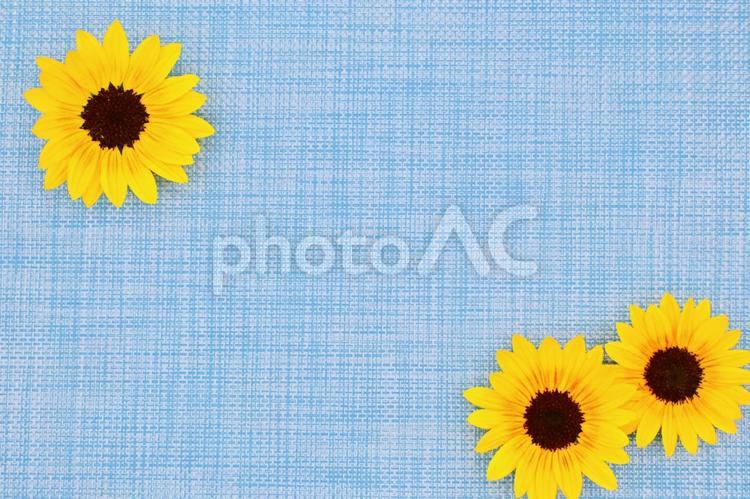 ひまわりの背景素材 生地,素材,背景の写真素材