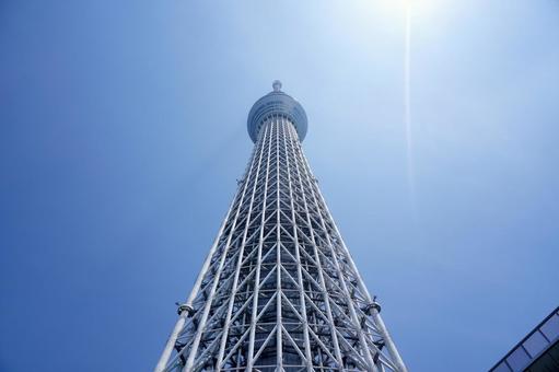 快晴の空にそびえるスカイツリー 快晴の空にそびえるスカイツリーの写真